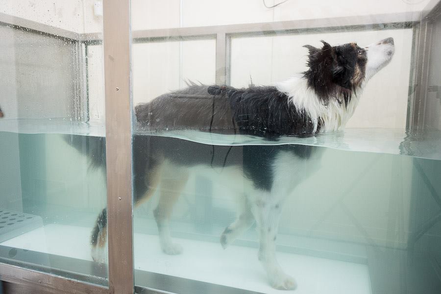 ebfizio-hidroterapia51 ebfizio-hidroterapia51