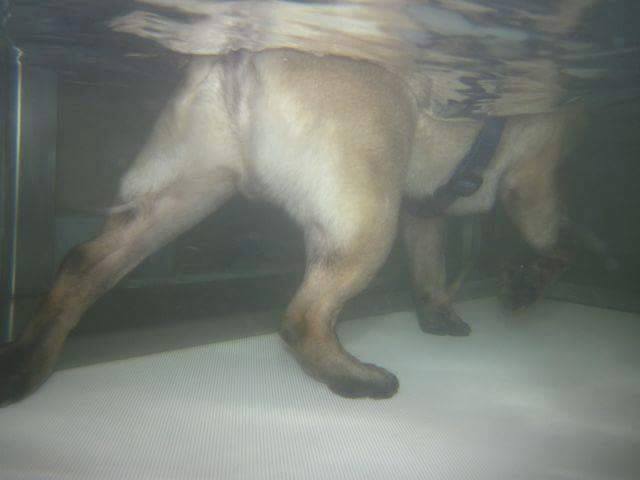 ebfizio-hidroterapia55 ebfizio-hidroterapia55