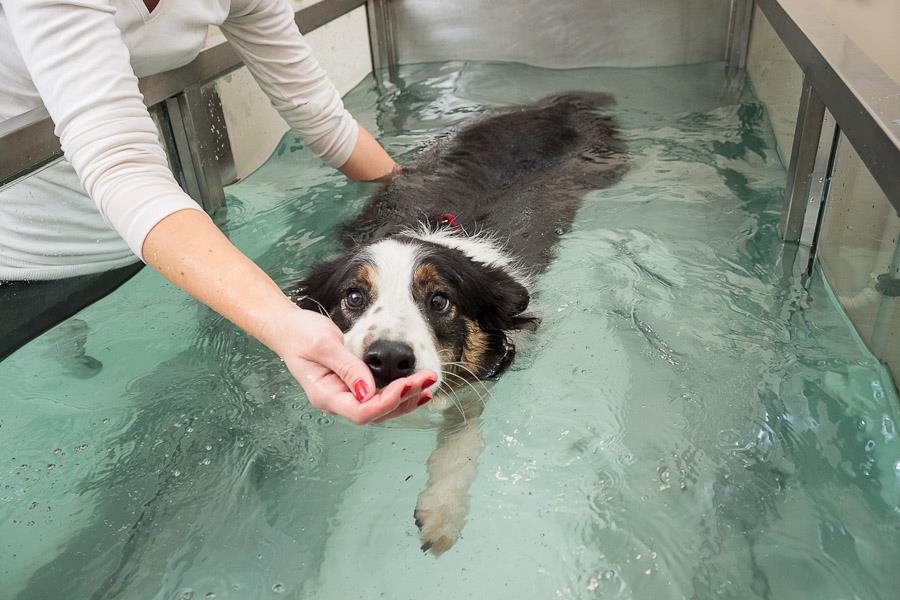 ebfizio-hidroterapia59 ebfizio-hidroterapia59